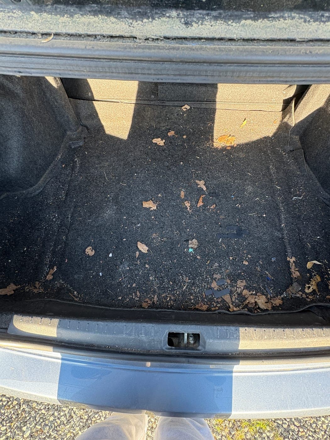 Trunk Deep Clean — before detailing